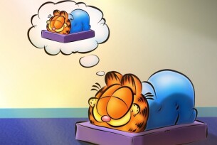 dream