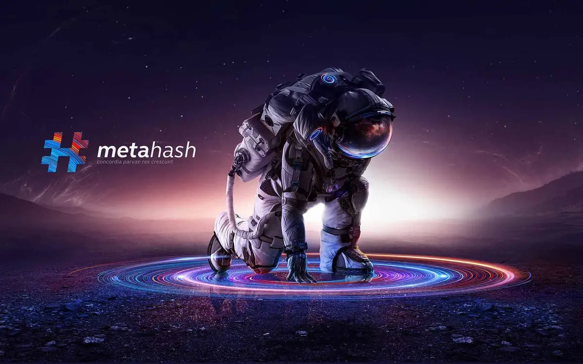 Metahash.org