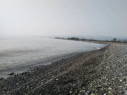 One Attraction of Rocky Beaches Is The Abundance of Rocks