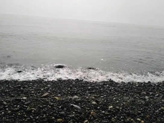 One Attraction of Rocky Beaches Is The Abundance of Rocks