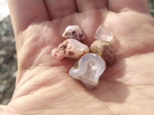 One Attraction of Rocky Beaches Is The Abundance of Rocks