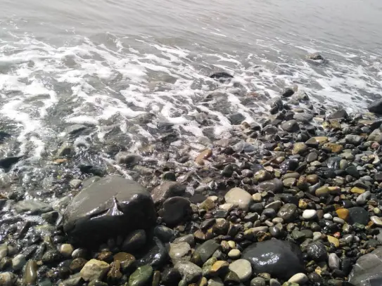 One Attraction of Rocky Beaches Is The Abundance of Rocks