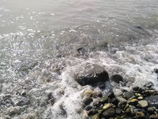 One Attraction of Rocky Beaches Is The Abundance of Rocks