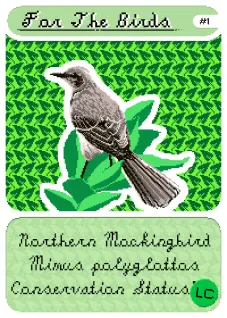 Northern Mockingbird