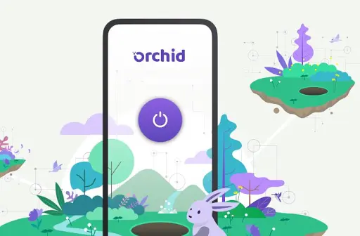 Orchid