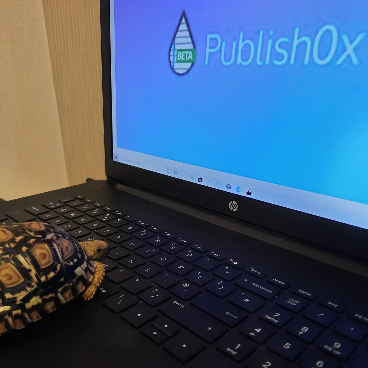 Publish0x