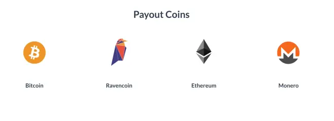 Payout