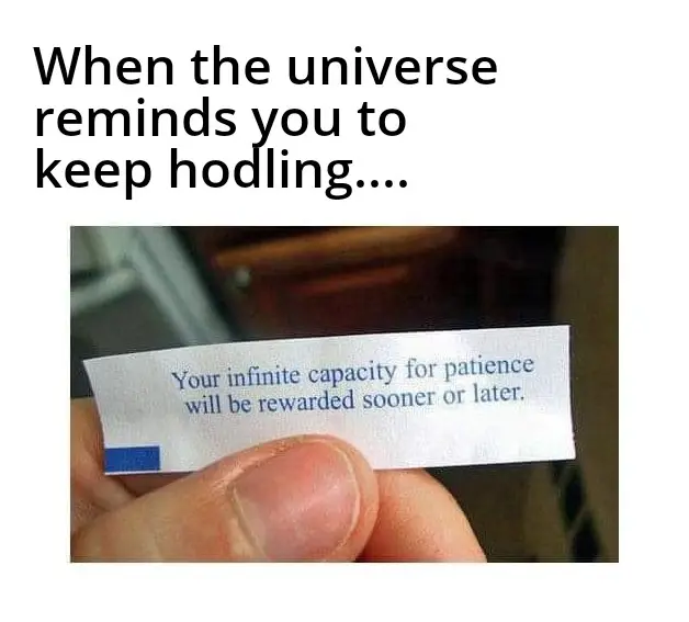 de0c3acce005ae06c38d8dd59ddb38c01733dd41f4b42cf62af7e2d75d43fe04.jpg