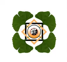 0eeb6c883fd92e06f02f371469c3ea4d56bff3ab4a2046fe74ae3bdb3a2dc064.jpg