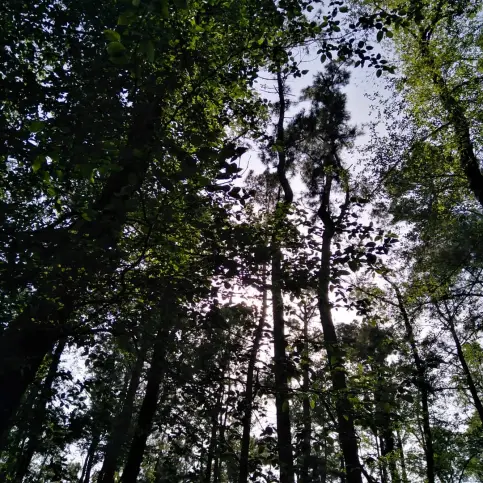 Me and My Girls Went into Jungle, Once Again! | Spring Is Here Strong!