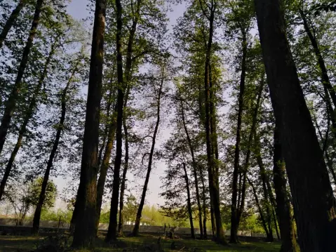 Me and My Girls Went into Jungle, Once Again! | Spring Is Here Strong!