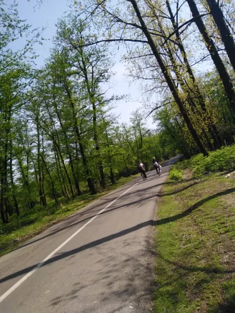 Me and My Girls Went into Jungle, Once Again! | Spring Is Here Strong!
