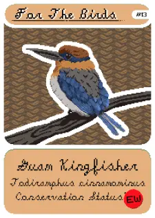 Guam Kingfisher