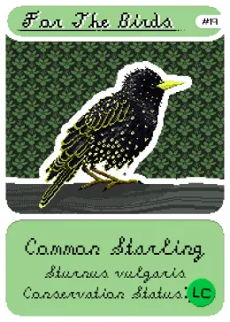 Card #19, Common Starling. For the Birds