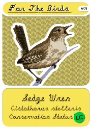 For The Birds - pixel art of Sedge Wren
