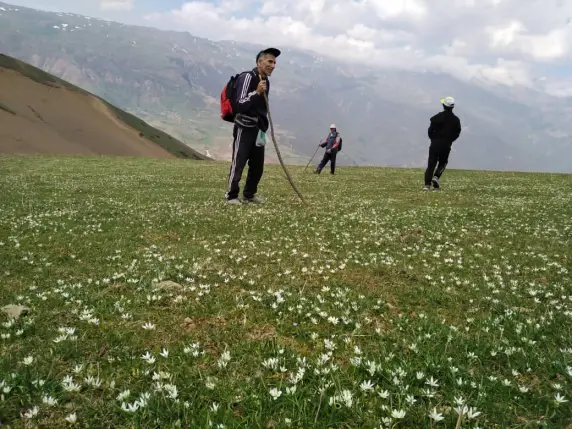 An Adventurous trip on the 2400-meter mountain of Kolaho, Talesh Heights, Gilan, Iran.