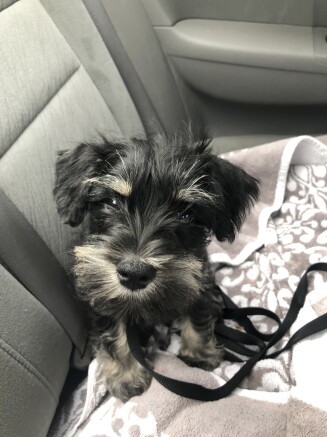 First day on the way home!