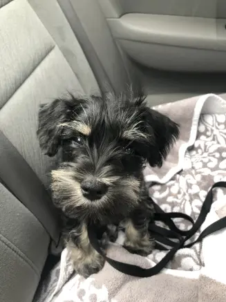 First day on the way home!