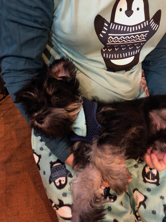 matching pajamas