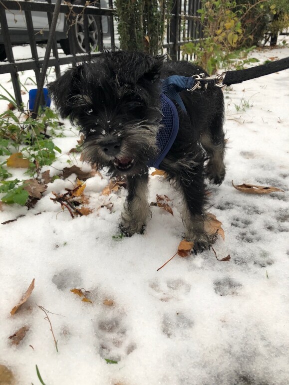 Snow!
