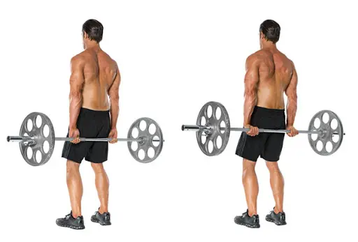 Standing Wrist Curls