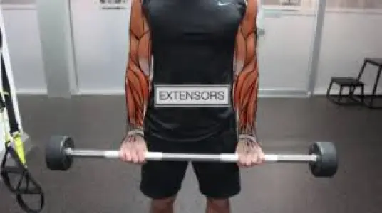 Wrist extensions