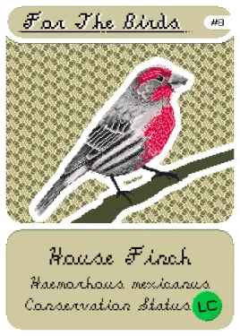 Pixel illustration of house finch on trading card