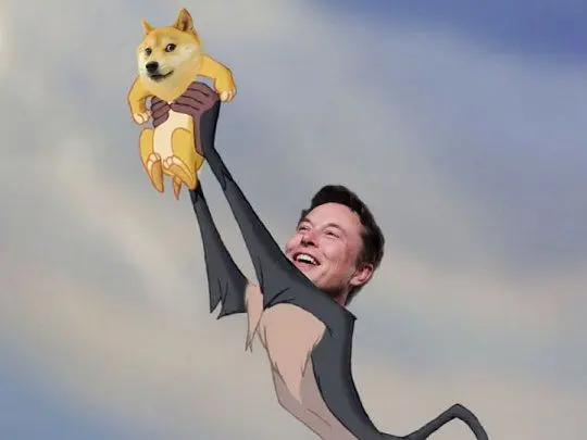 ELON Y DOGE
