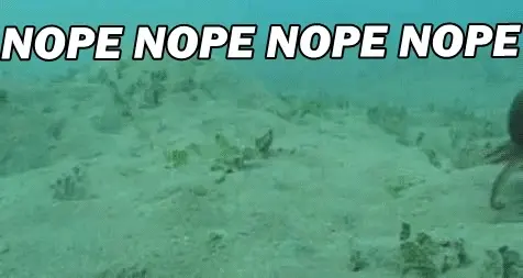 577338ab302f5dacaa3e38964c94c4e58886d7ad0c83ff02c13f437039e07c9a.gif