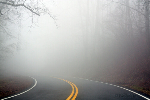 A road not so clear to honest price discovery, time to meditate, find the answer?