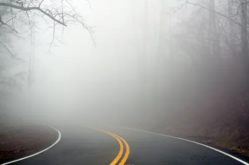 A road not so clear to honest price discovery, time to meditate, find the answer?