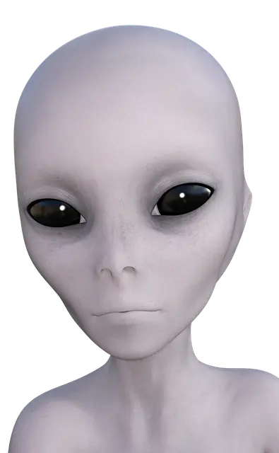 90d4f2b474fea410ecd86d9e8248d18bc38d6a3109f4ae5a6f00972e08780292.png
