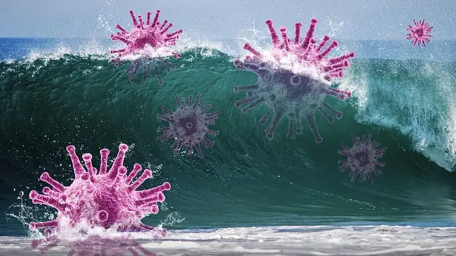 covid-19, caronavirus, health, india