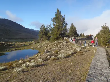 351665157-346b194fdc2b65df9b7a2c85868c4835f37b3cf4e9bf82f7813e2c0e40b4ad18.jpeg