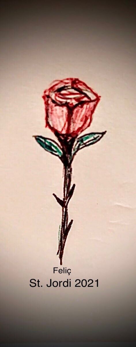 Rosa
