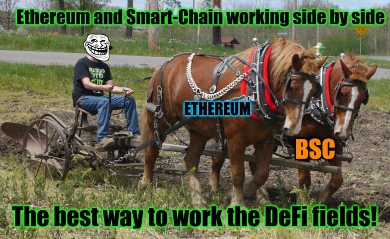 a0aaf16e57d72731626730db6b66e525dcf336c85a1812f3e7c108929fbb039c.jpg