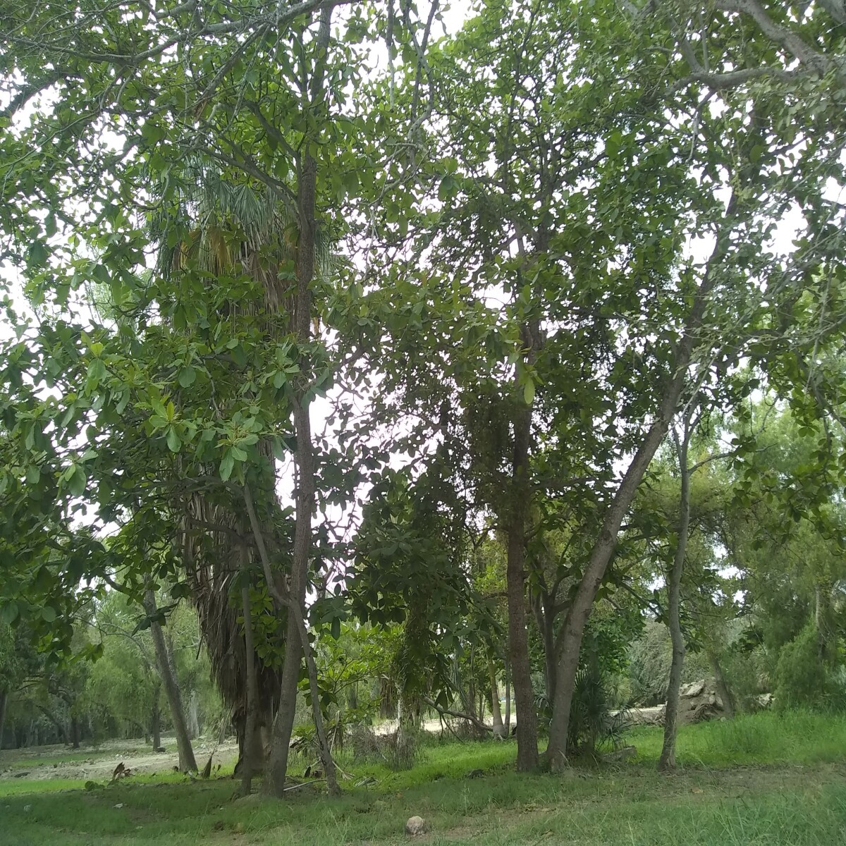 Laguna del carpintero