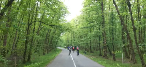 Cycling And Discovering A New Village Deep in The Forest