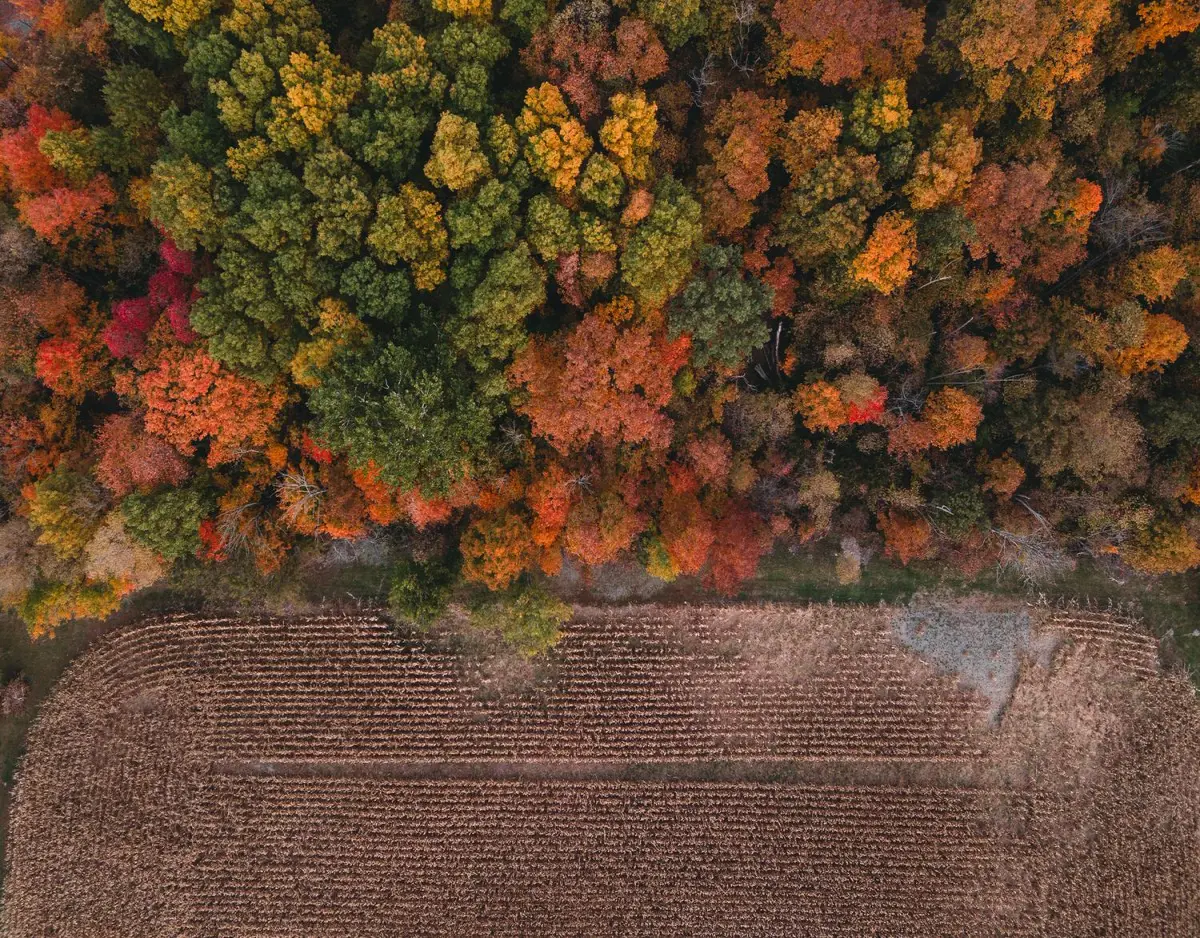 farm in fall