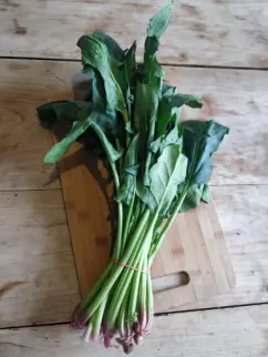 Bunch of Spinach