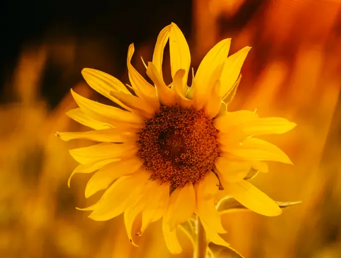f13f25803831a59eb59be14a3de640ebf4beba09ccfe7b759f1e5cd4aca1c758.png