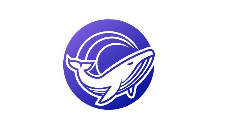 c253e691fbfff44d156c47b2e32d2c3b90664b80af1fbd1672f0c64dbc98d9d1.jpg