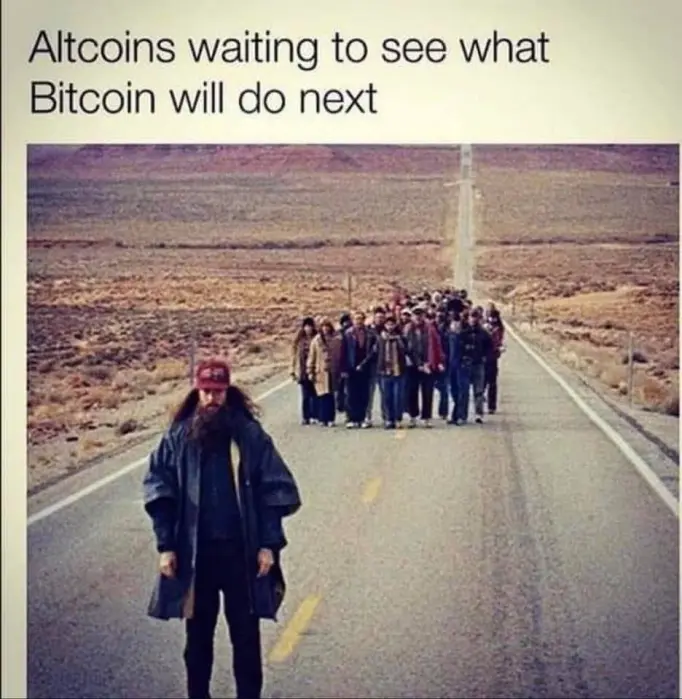 f2307f5e903803abd86703c0622e13933736f75ab63ab83f6e2bb3ecd61a9f6f.jpg