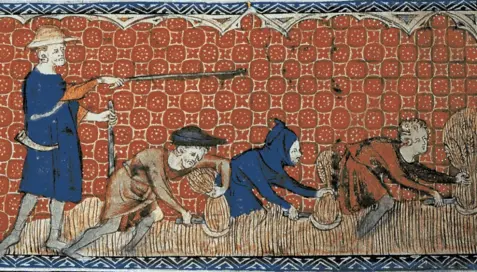 Feudal Farmers