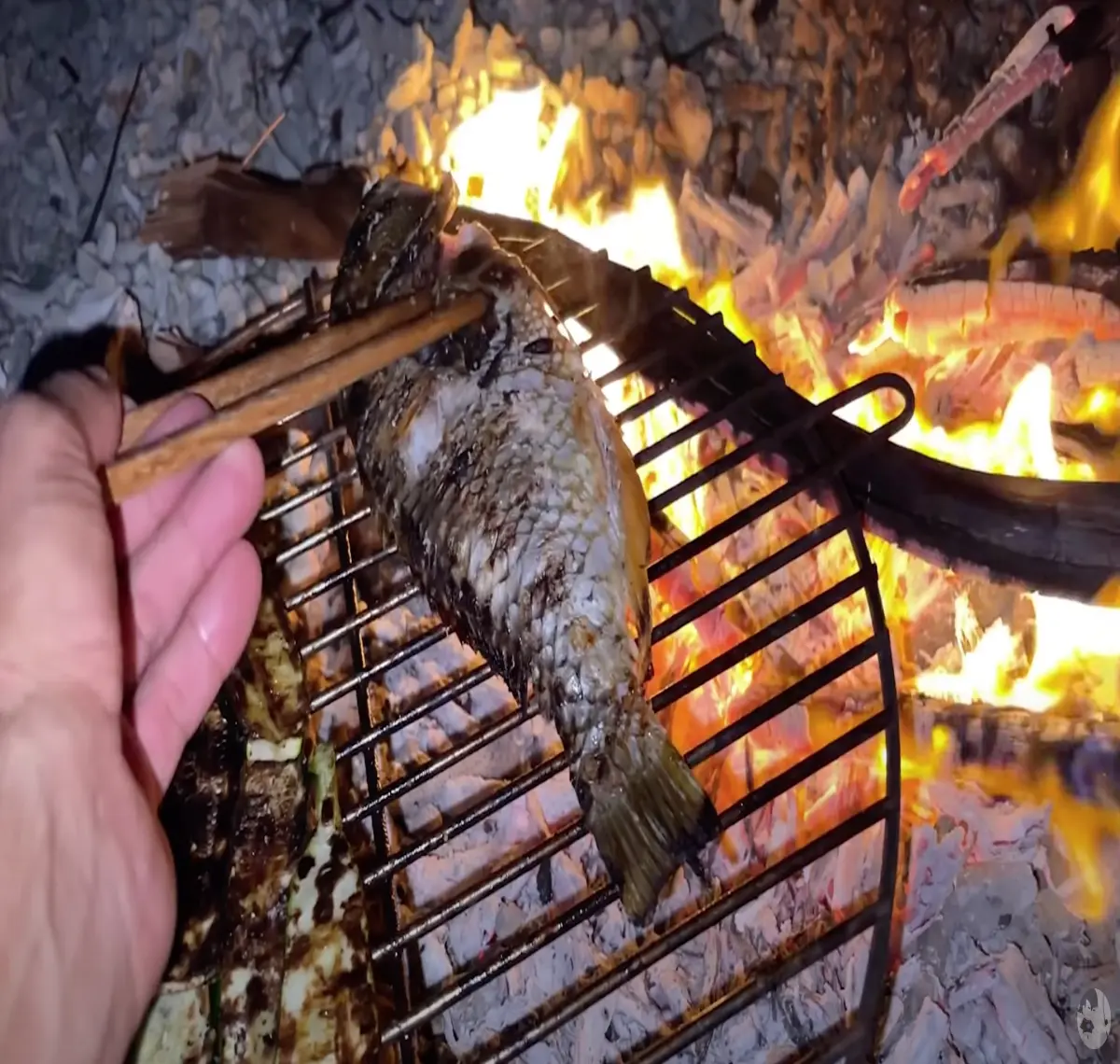BBQ