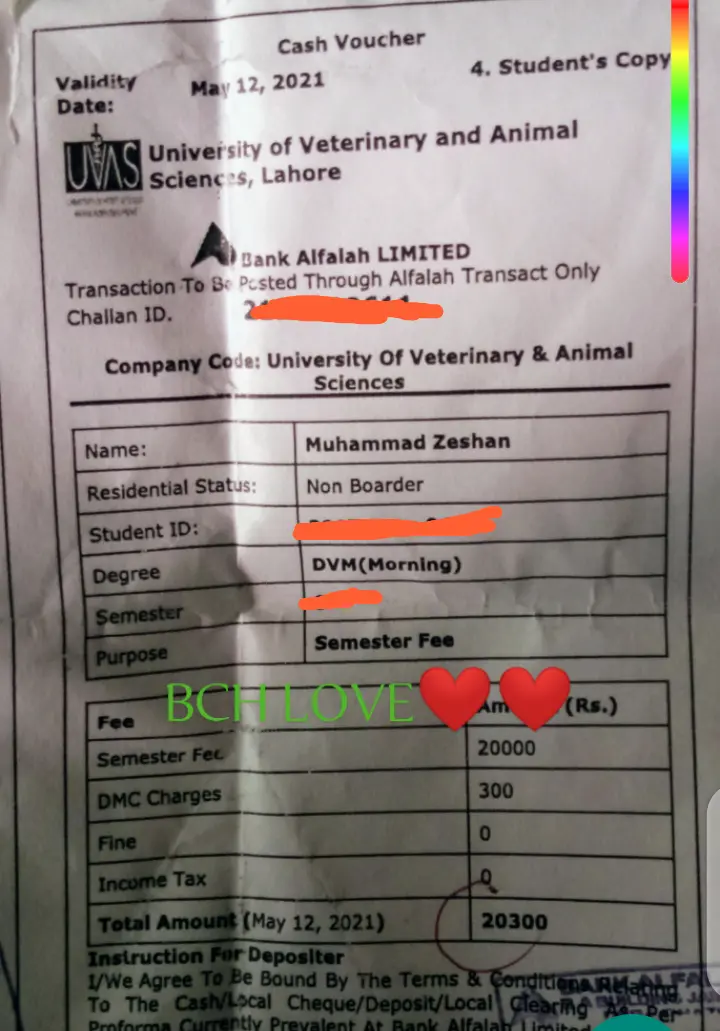 Fee payed through BCH earning