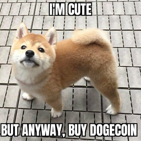 aca4a5cc0d57170cd28f0cb6d8872c6793e474676a988c7309edb325e1b24100.jpg