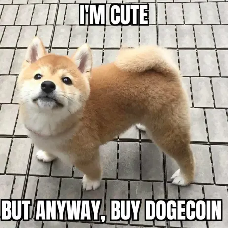 aca4a5cc0d57170cd28f0cb6d8872c6793e474676a988c7309edb325e1b24100.jpg