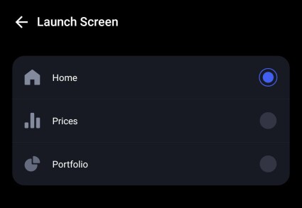 launch screen