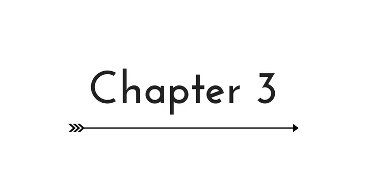 chapter_3